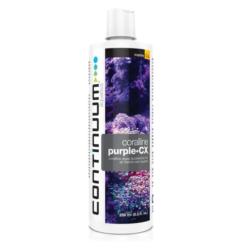 Continuum Coralline Purple CX 250ml