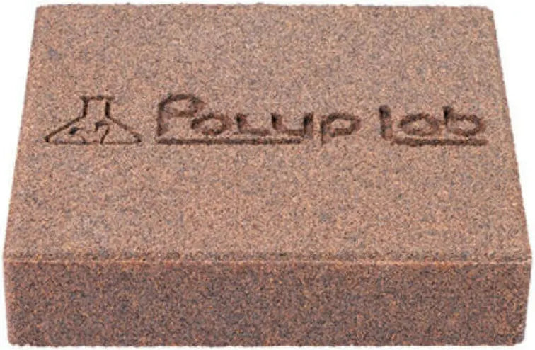 Polyp Lab Genesis Rock