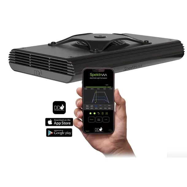 D-D Spektrum 150 Light