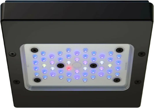 Ecotech Marine Radion G6 XR15 Blue
