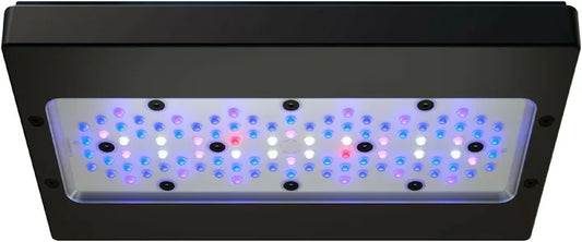 Ecotech Marine Radion G6 XR30 Blue