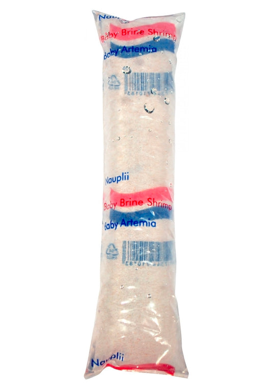 Live Nauplii baby brineshrimp 80ml