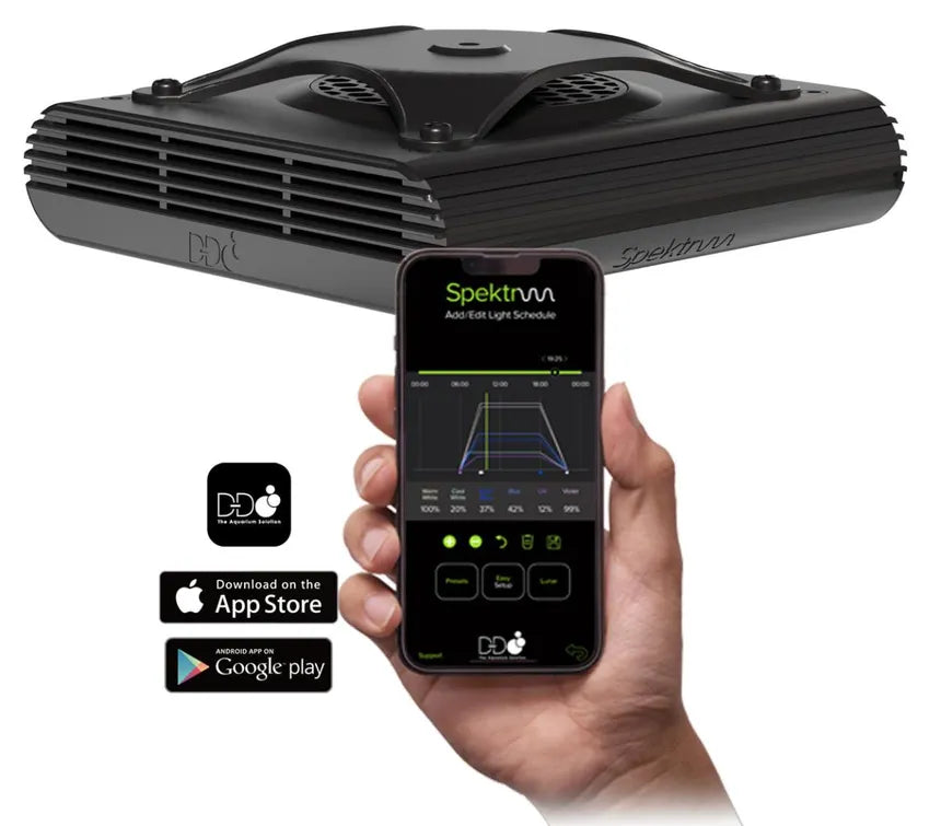 D-D Spektrum 90 Light