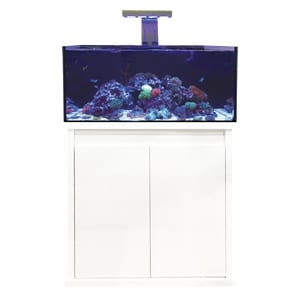 D-D Reef Pro 900 Gloss White Aquarium