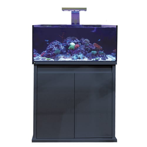 d-d reef pro 900 gloss anthracite