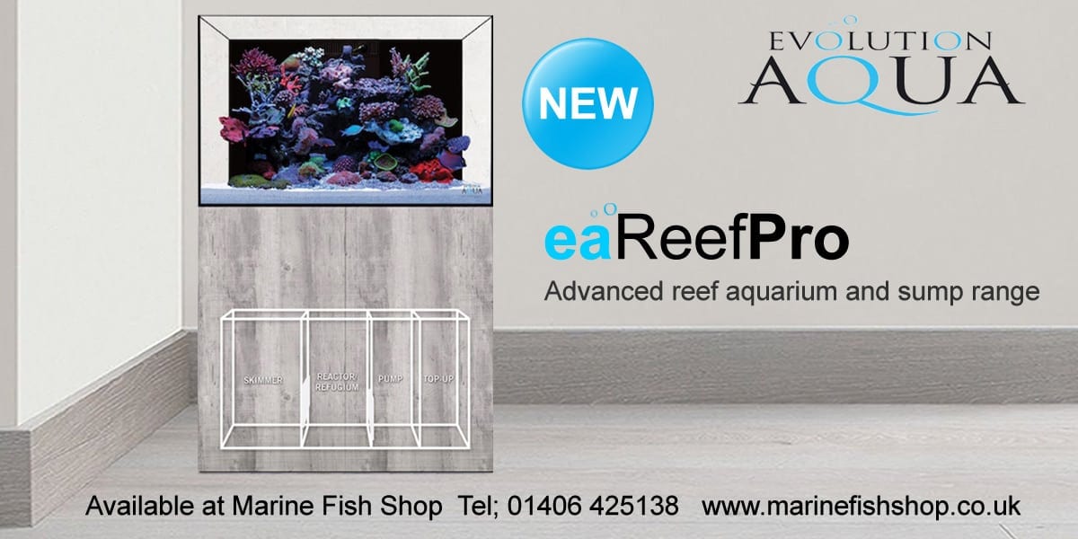 eareef pro aquarium fish tank