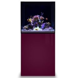 EA Reef Pro 600 available at Marine Fish Shop