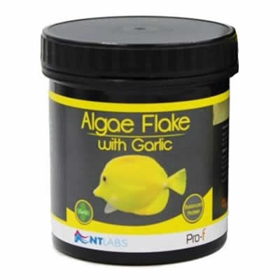 NT LABS Pro-f Algae Flake with Garlic 15g