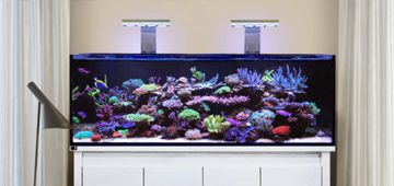 d-d reef pro aquariums