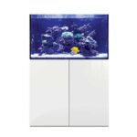 D-D Aqua-Pro Reef 900 – Gloss White
