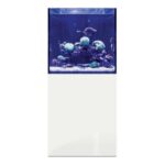 D-D Aqua-Pro Reef Cube 600 – Gloss White