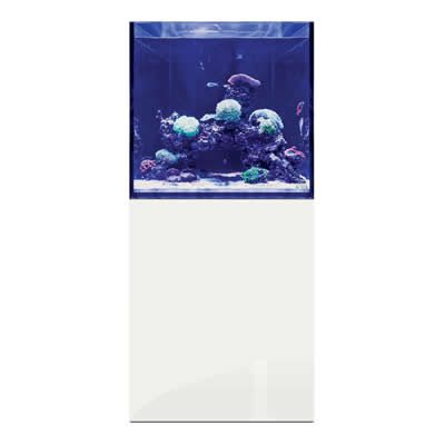 D-D Aqua-Pro Reef Cube 600 – Gloss White Aquarium